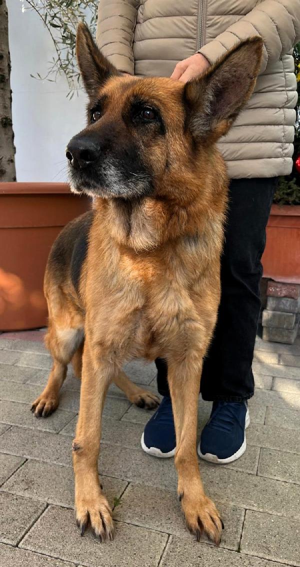 GIANNA PASTORE TEDESCO Foto 7